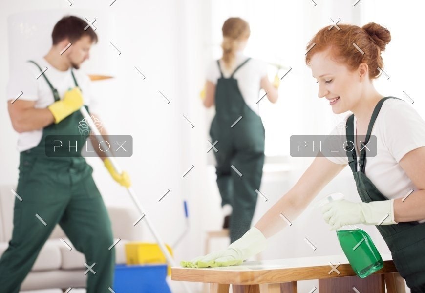 demo attachment 46 cleaning service during work pptazg5